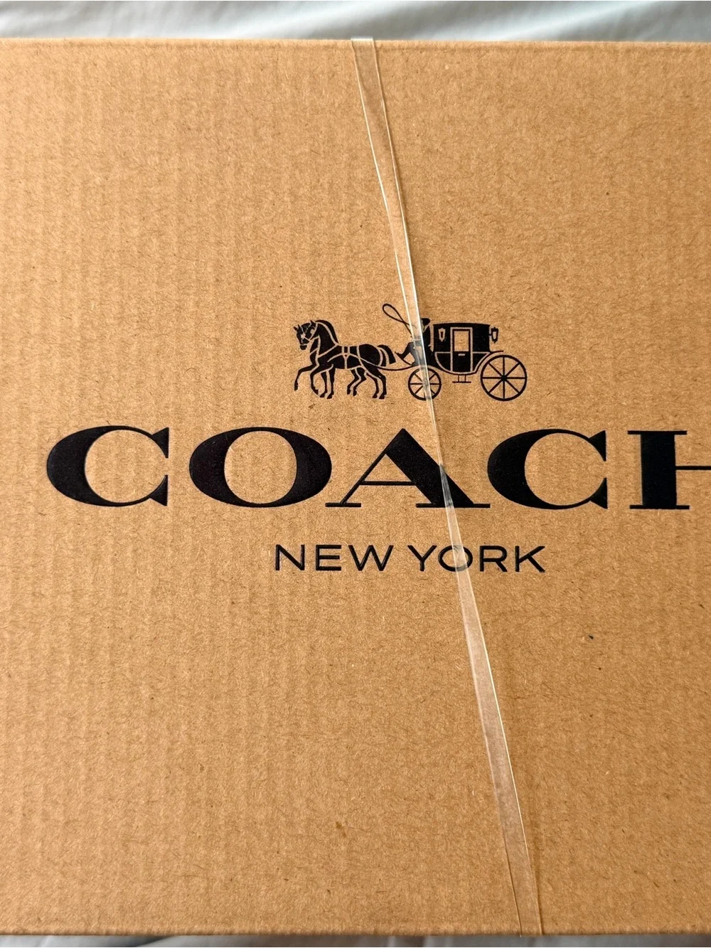 Coach Brynn Thong Sandals